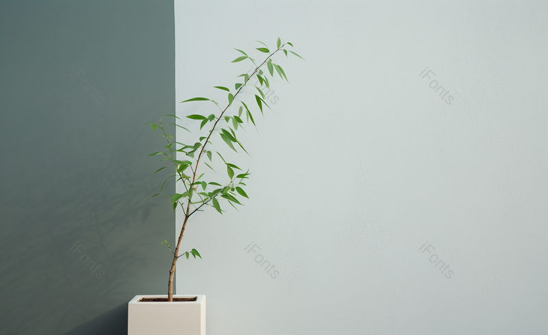 高清的图片海报设计背景广告设计素材元素墙面竹子背景,高清,摄影图,摄影图片,图片大全,摄影图免费下载